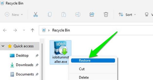 Recover Lost EXE Files Using Recycle Bin on Windows