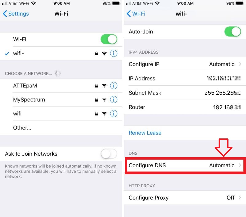 Configure DNS on iPhone to Fix Safari Issue