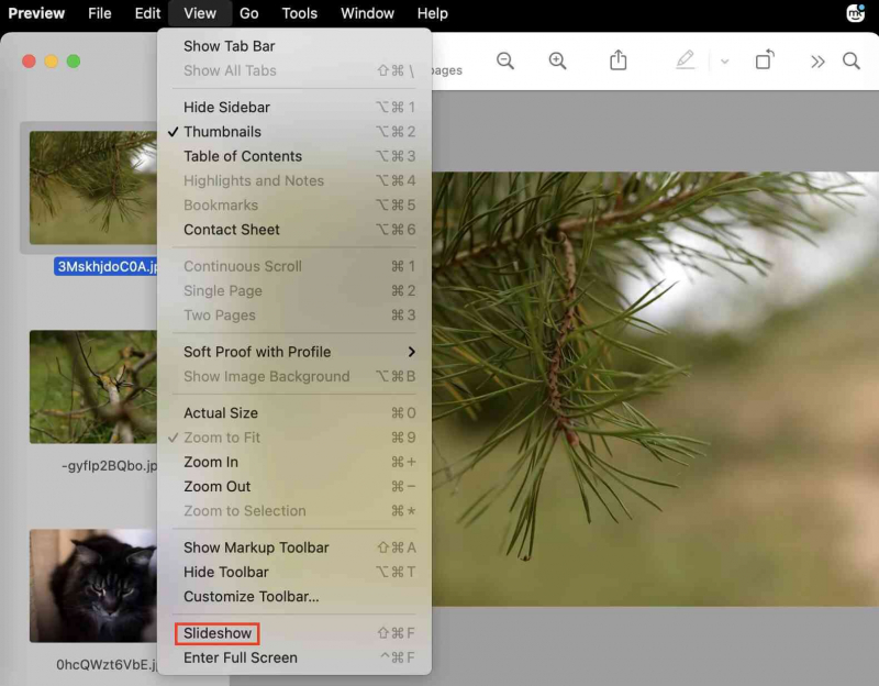 Make A Slideshow on Mac without iPhoto But Using the Preview App