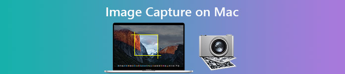 Image Capture for Transferring Videos From iPad to Mac