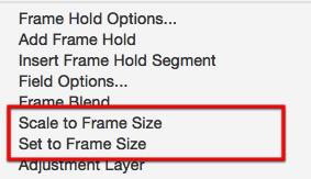 Scale Or Set to Frame Size to Resize Video in Adobe Premiere