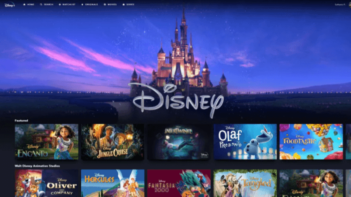 Filmes Disney Plus em laptops