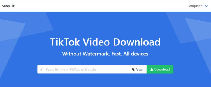 How to Save TikTok Without Watermark via Snaptik