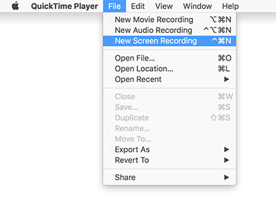 Quicktime을 통해 Mac에서 화면의 일부를 녹화합니다.