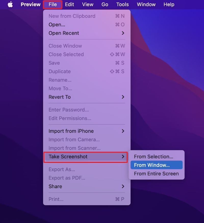 Take Screenshots Using Preview When Screenshot on Mac Not Working