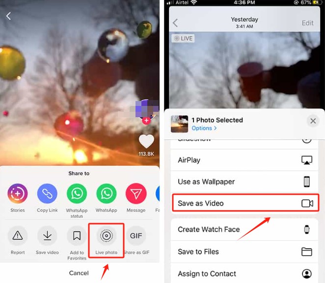 Save TikTok Videos Without Watermarks on iPhone